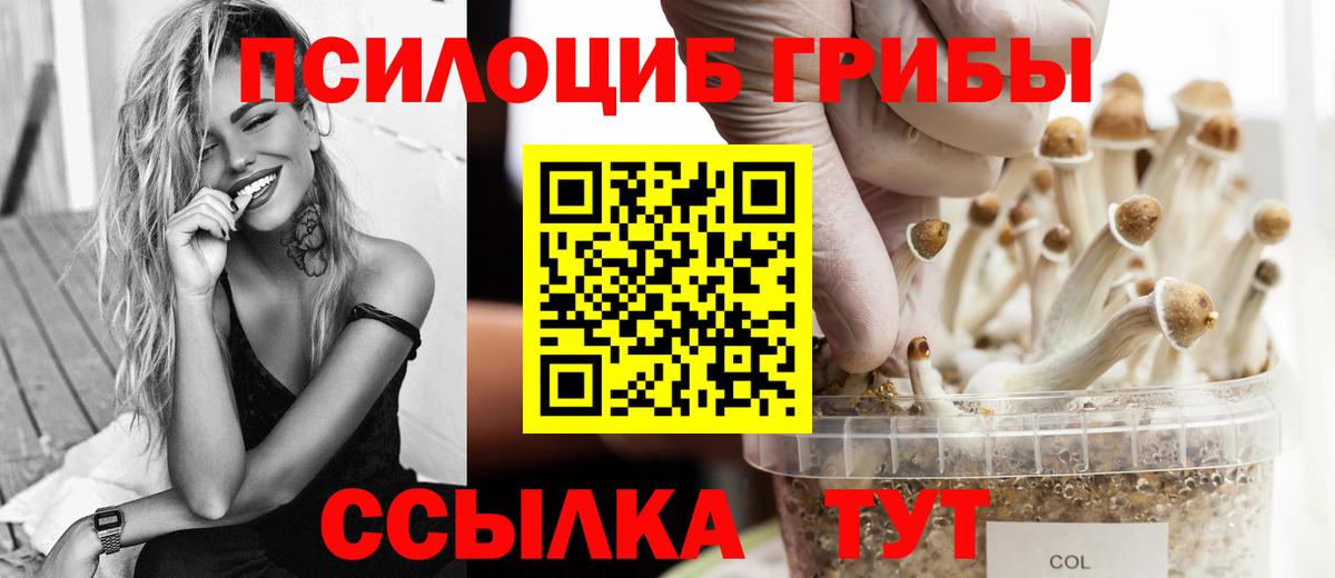 Псилоцибиновые грибы Psilocybine cubensis  Вход с VPN  Шелехов 