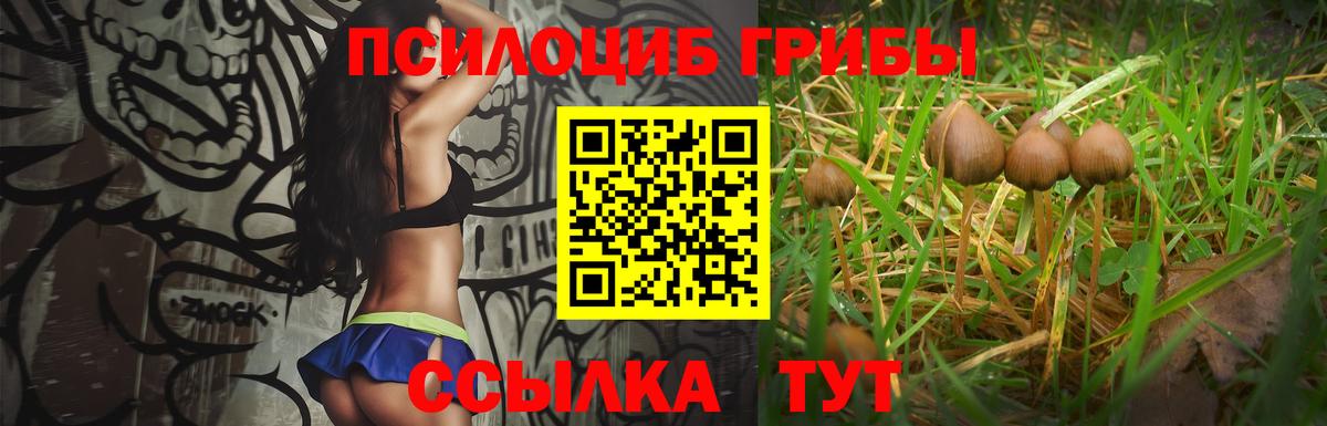 Галлюциногенные грибы мицелий Шелехов