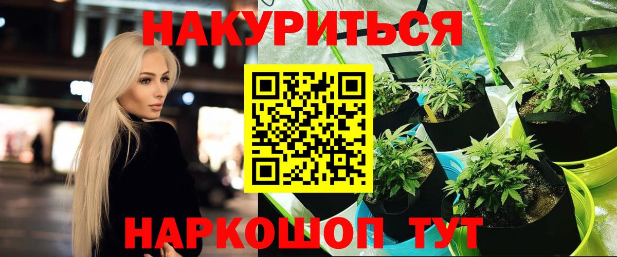 Шелехов  Конопля конопля  Каннабис индика  Вход с VPN 